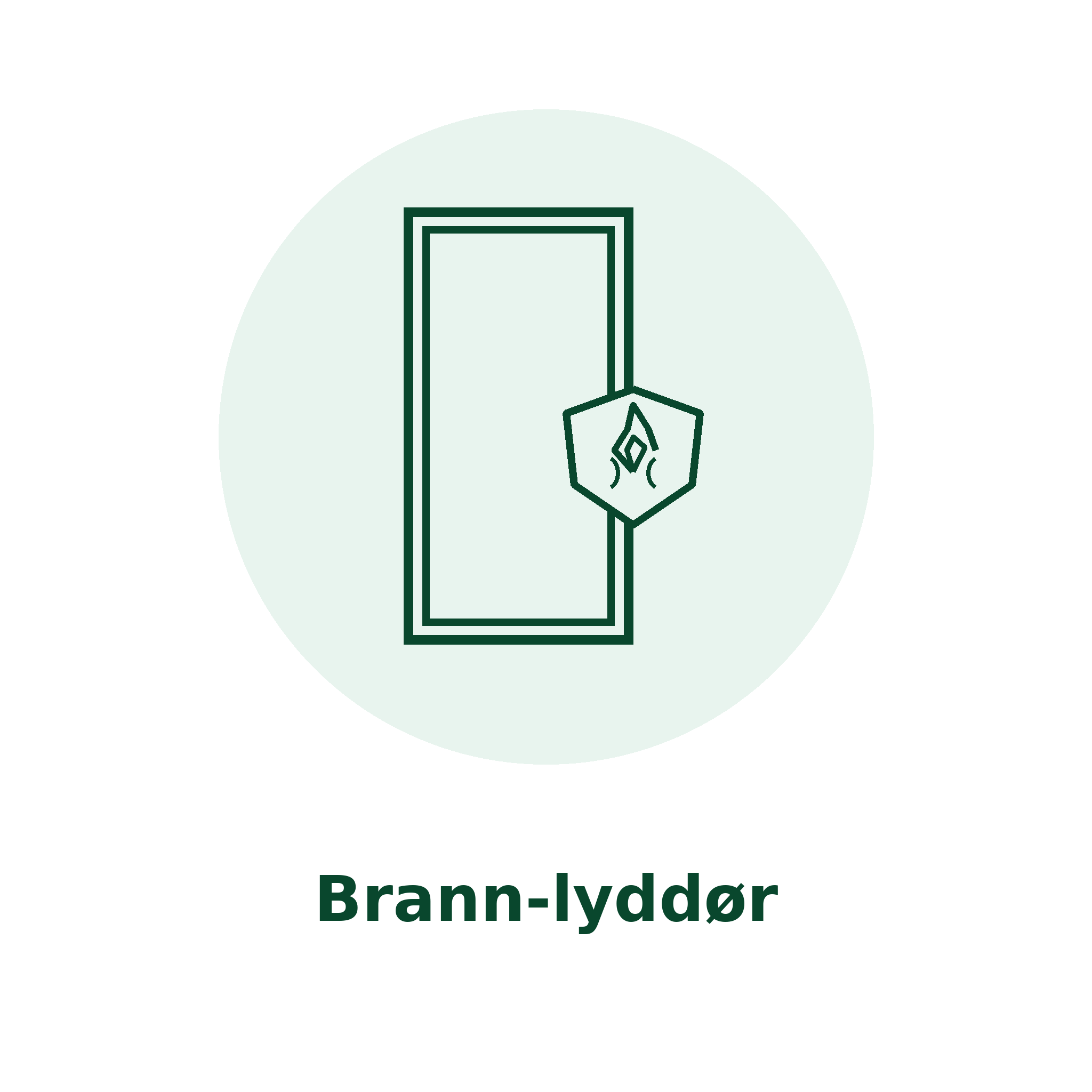 Brann- og lyddør